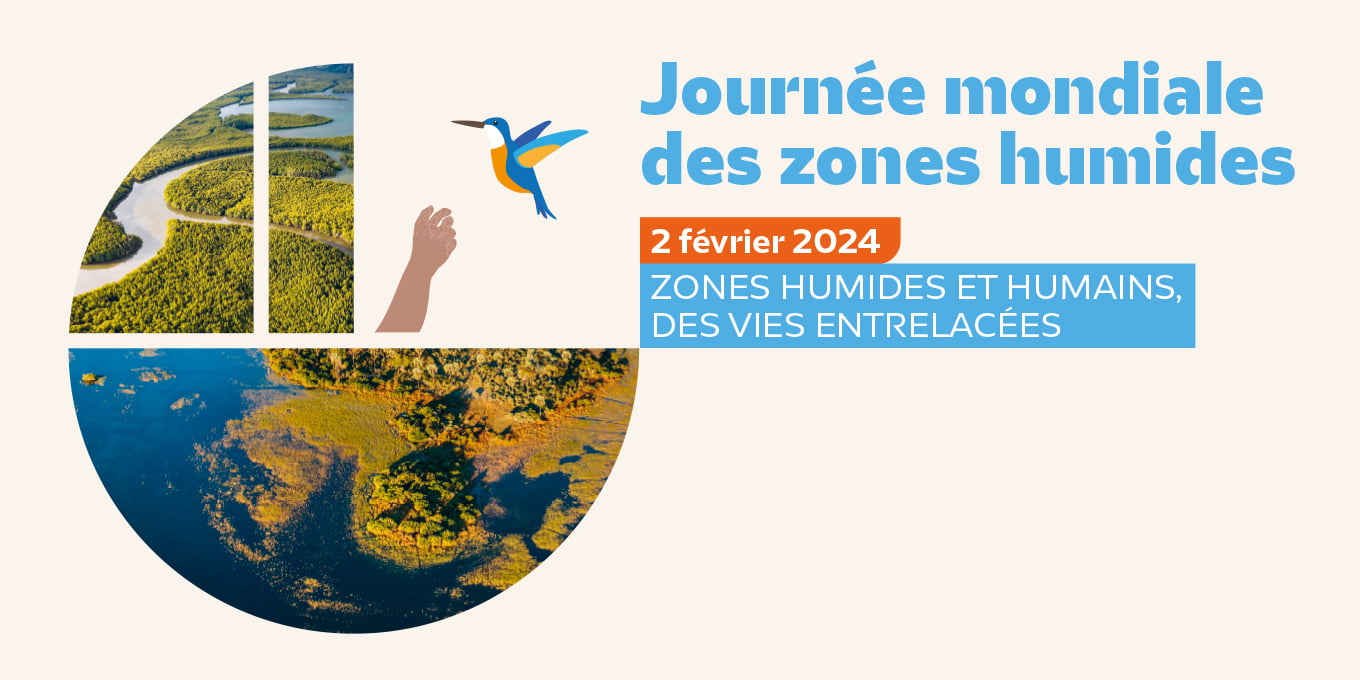 Image avec écrit : Journée mondiale des zones humides le 2 février 2024. Zones humides et humains, des vies entrelacées.