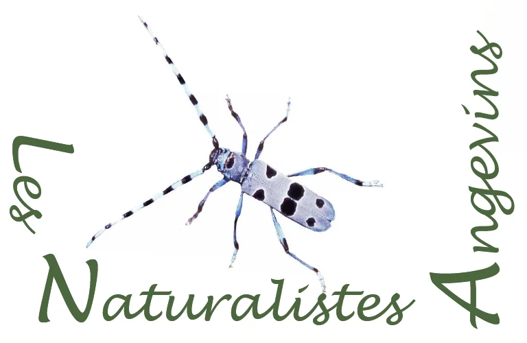 NaturalistesAngevins