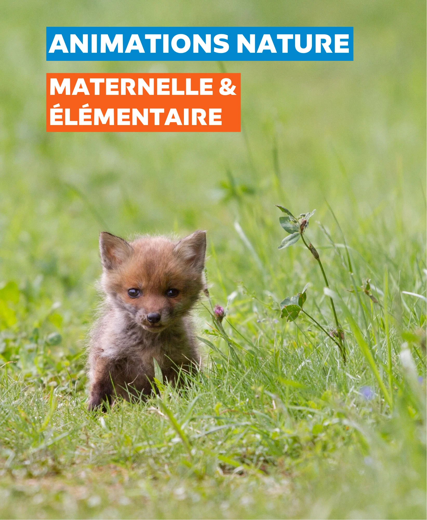 Page de couverture2