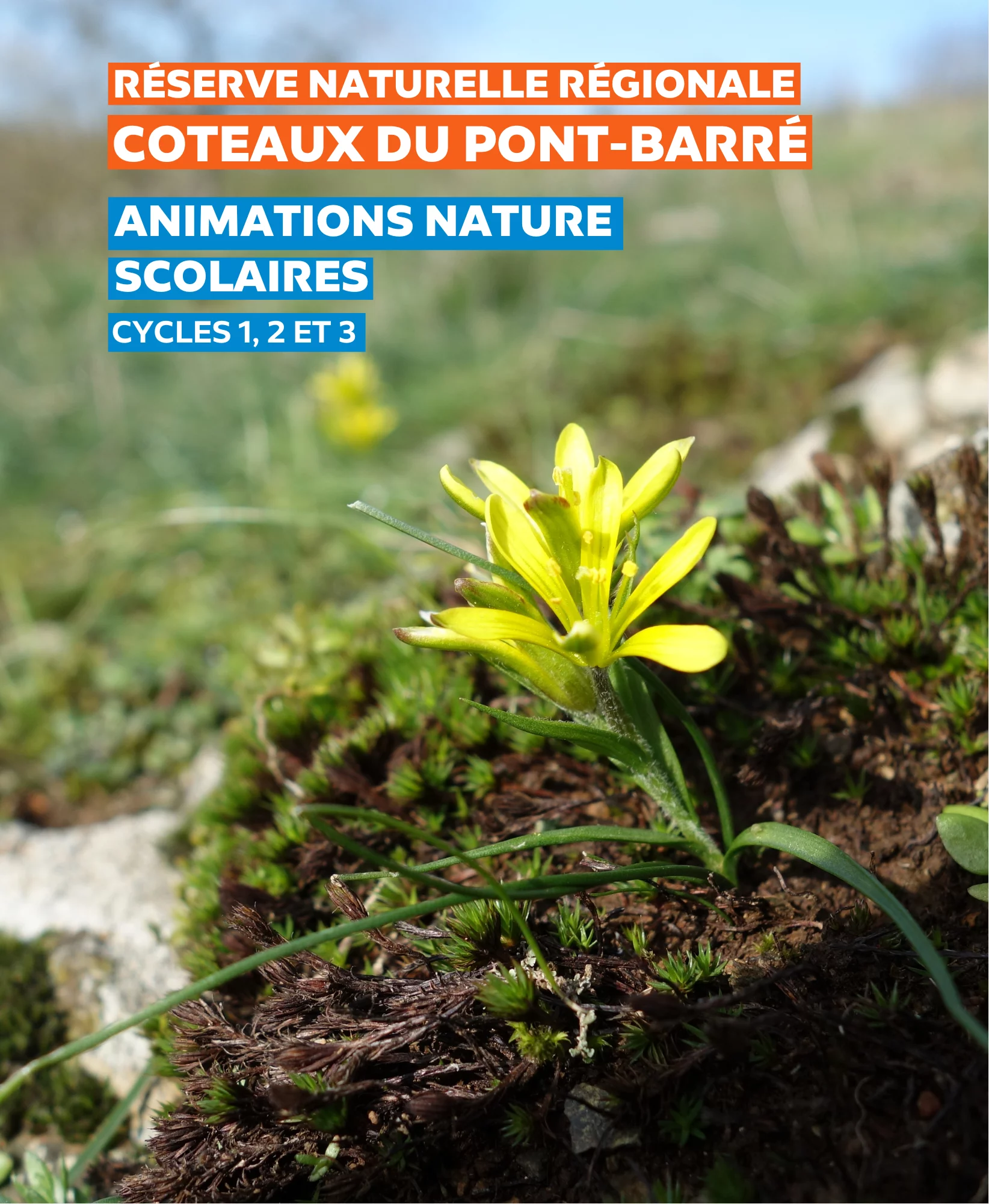 Page-de-couverture3-Animation-nature-Pont-Barre-sans-bandeau