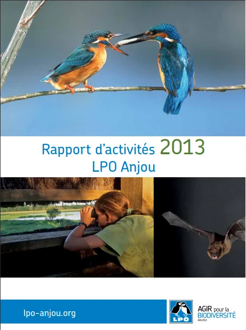 page-couv-RA2013
