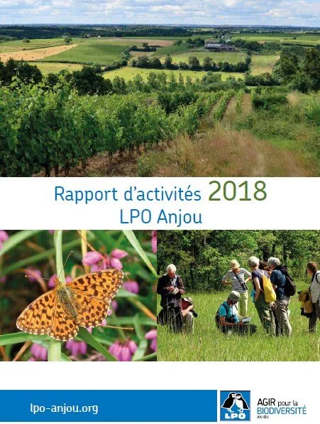 page-couv-rapport-dactivités-2018