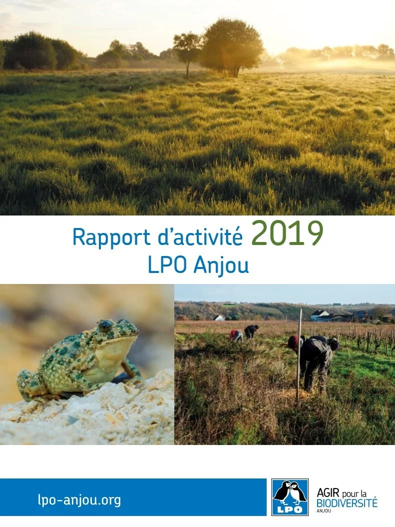 page-couv-rapport-dactivités-2019