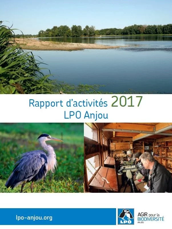 rapport-activites-2017-p1