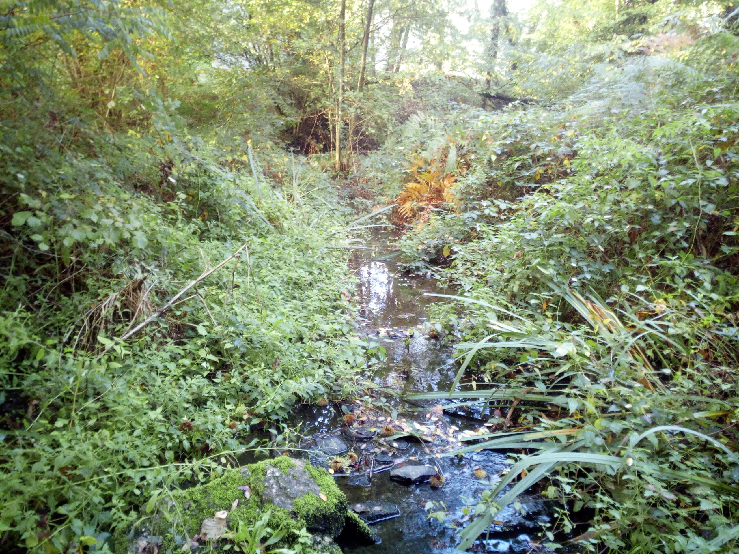 RapatrieurBenevole1080x720