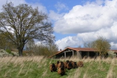 rnr_ferme-de-la-chauffetiere_a_florent