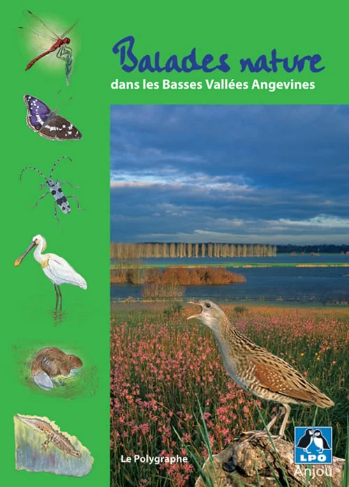 visuel-balade visuel-balade