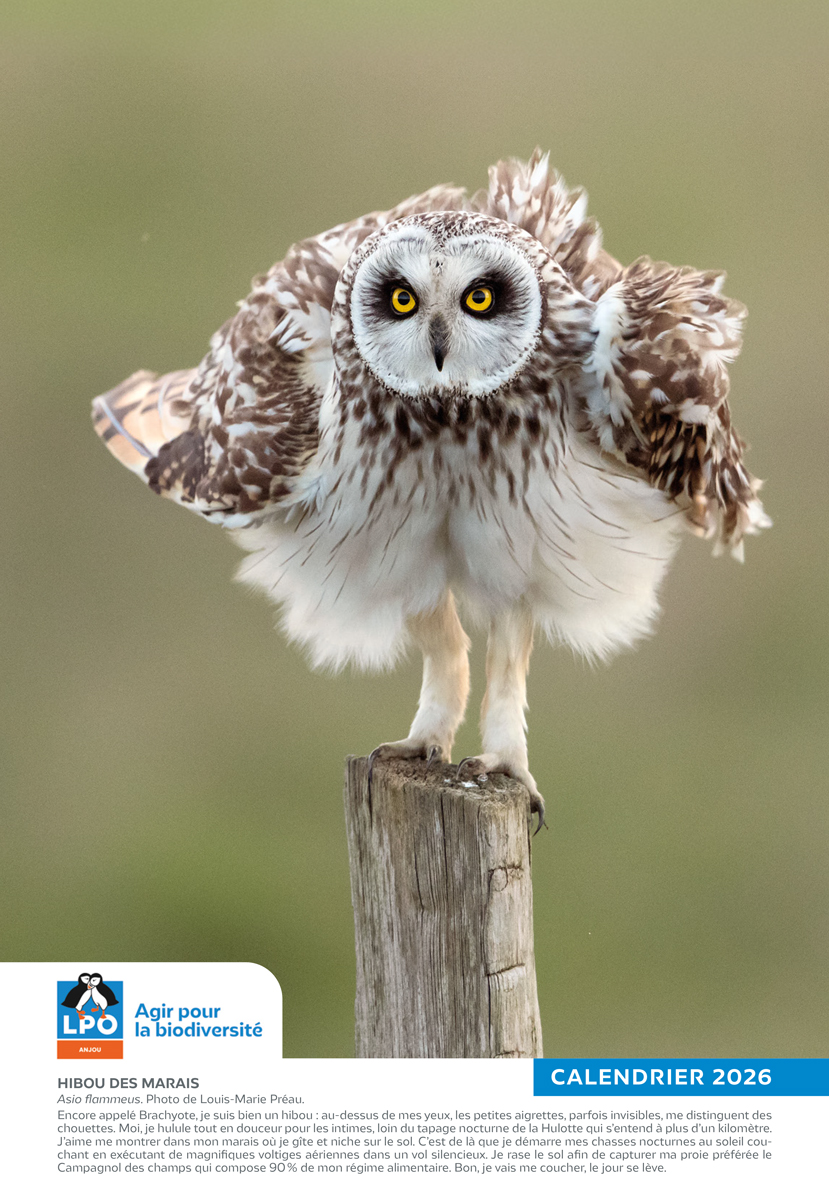calendrier-LPO-Anjou-2026