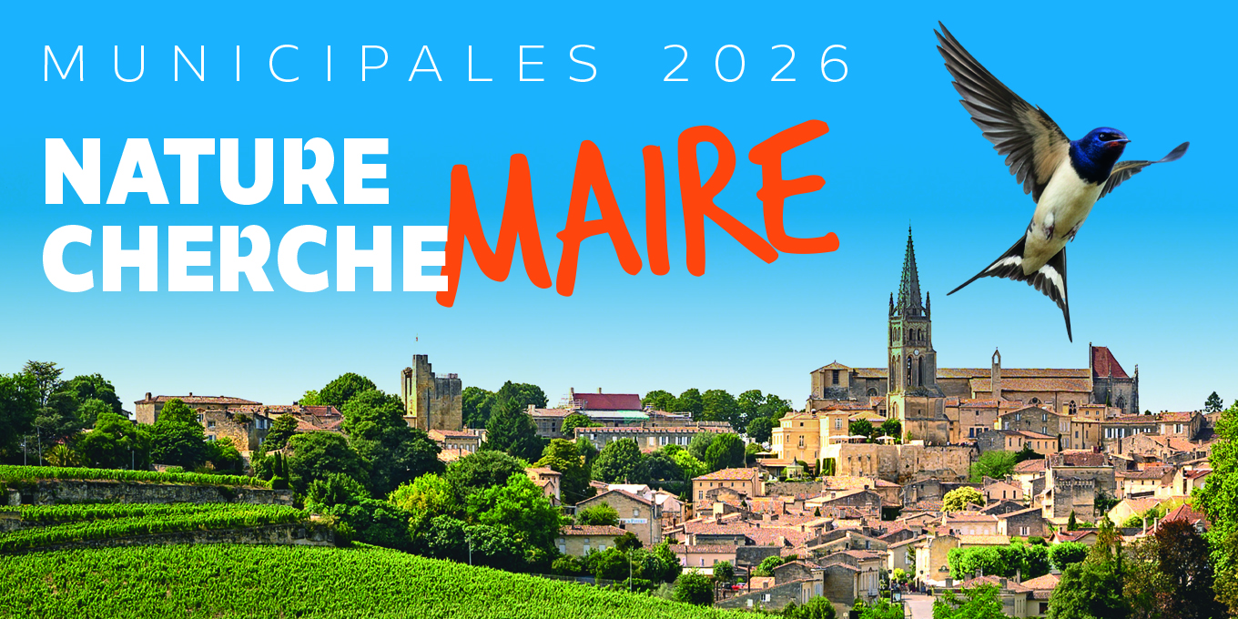 RBo_2013_BVA_La Baillie (3)