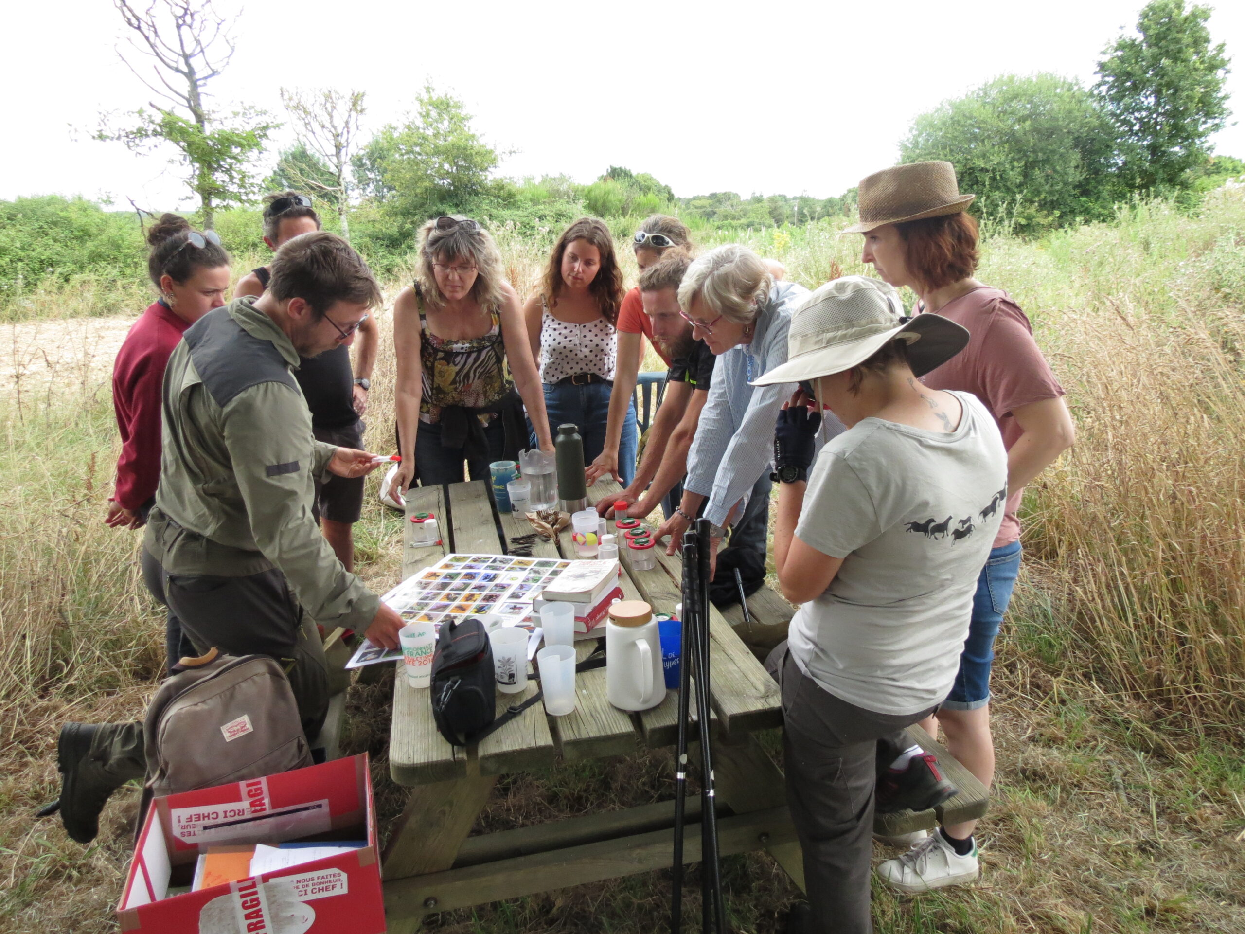 Formation sur les pollinisateurs © Simon Coutand