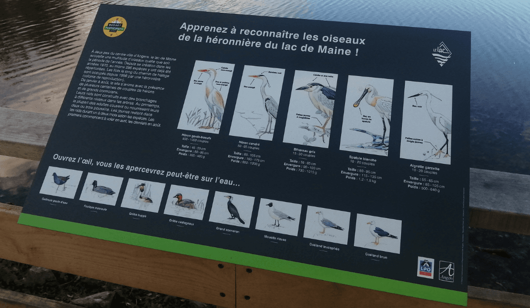 La plateforme ornithologique est maintenant ouverte au grand public !