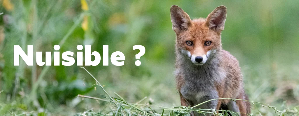 Comment aider les ESOD en Maine-et-Loire ?