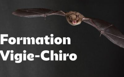 Formation au protocole Vigie-Chiro