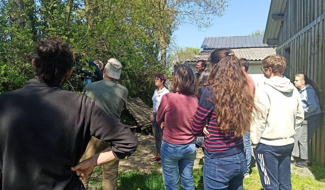 Déploiement du protocole Vigie-Chiro en Maine-et-Loire