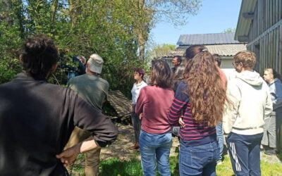 Déploiement du protocole Vigie-Chiro en Maine-et-Loire