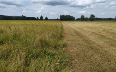 Suivi de la fauche des prairies dans les Basses Vallées Angevines