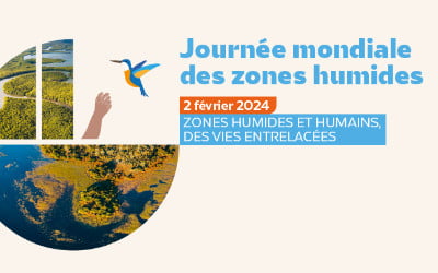 JMZH 2024 : à la découverte des zones humides