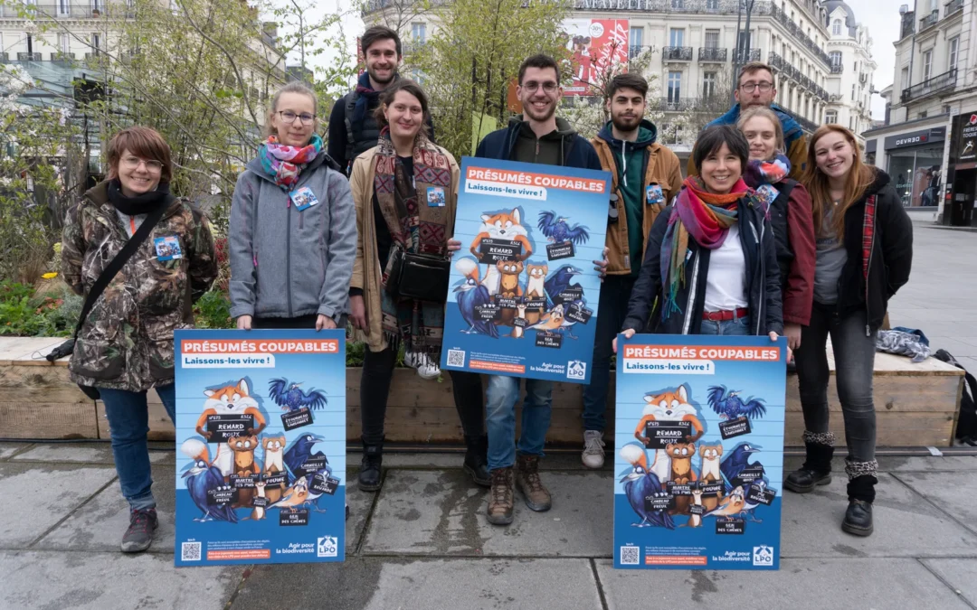 Présumés coupables : Le Groupe Jeunes de la LPO Anjou en action !