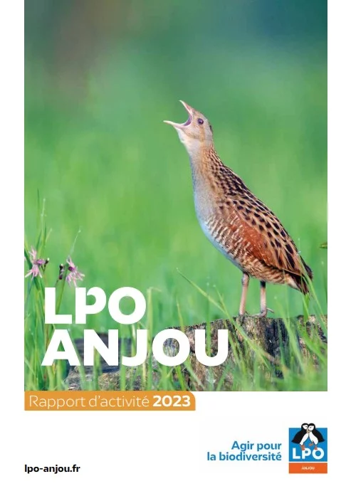 RapatrieurBenevole1080x720