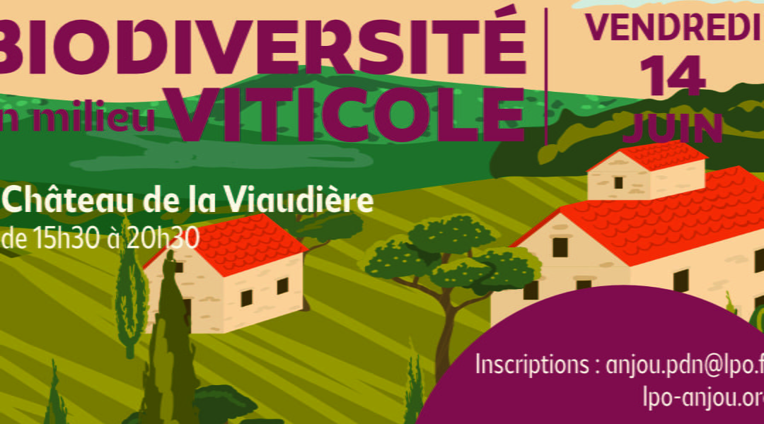 Biodiversité en milieu viticole