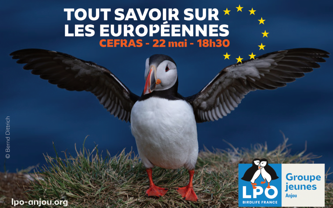 Tout savoir sur les Européennes avec le groupe Jeunes de la LPO Anjou