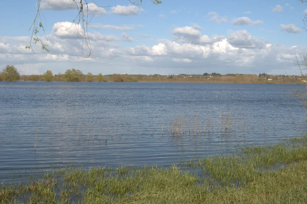 photo d'une prairie des BVA