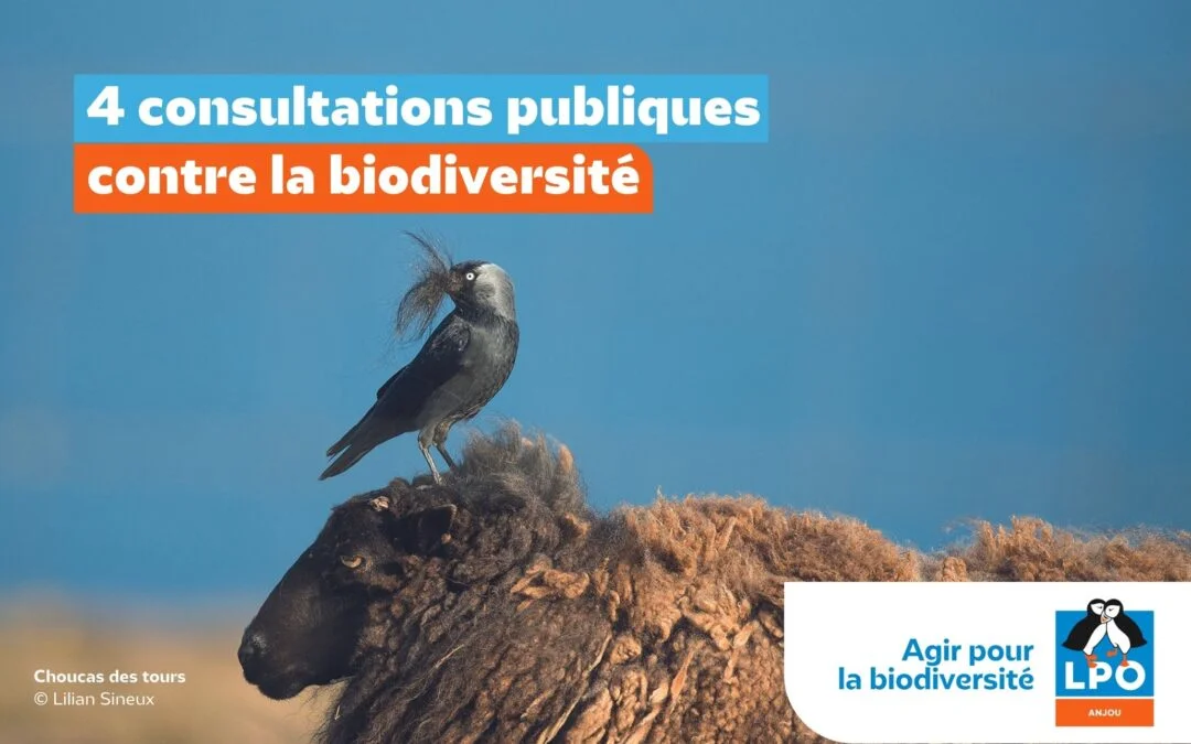 4 consultations publiques contre la biodiversité