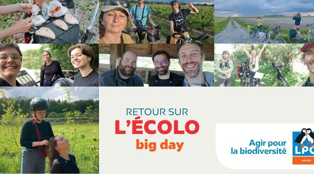 Et les grands gagnants de l’Écolo Big Day sont…