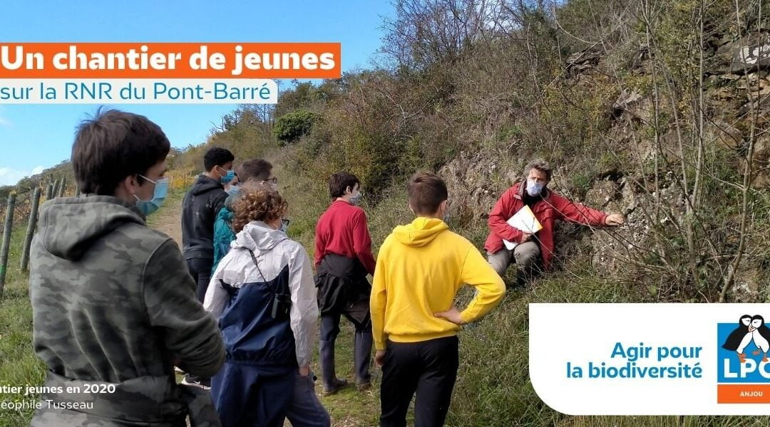 Un chantier de jeunes sur la RNR du Pont-Barré