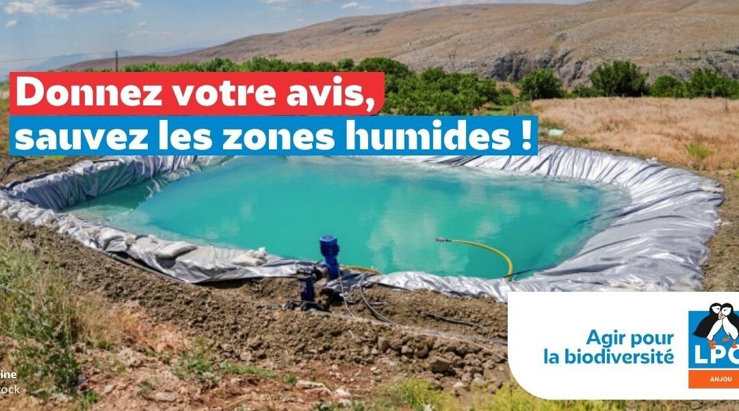 Donnez votre avis, sauvez les zones humides !