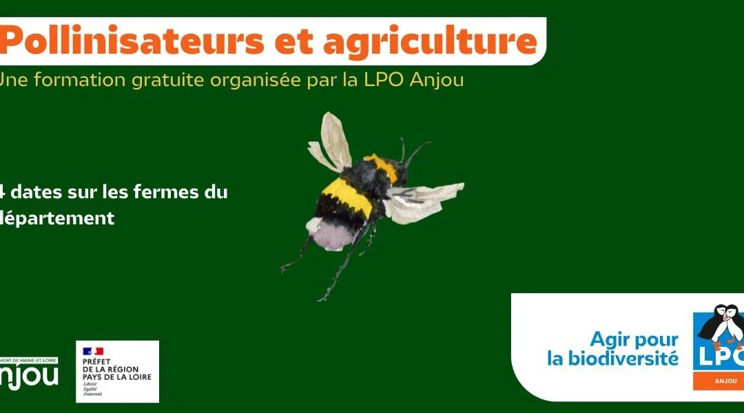 Pollinisateurs et agriculture : formation gratuite pour tous
