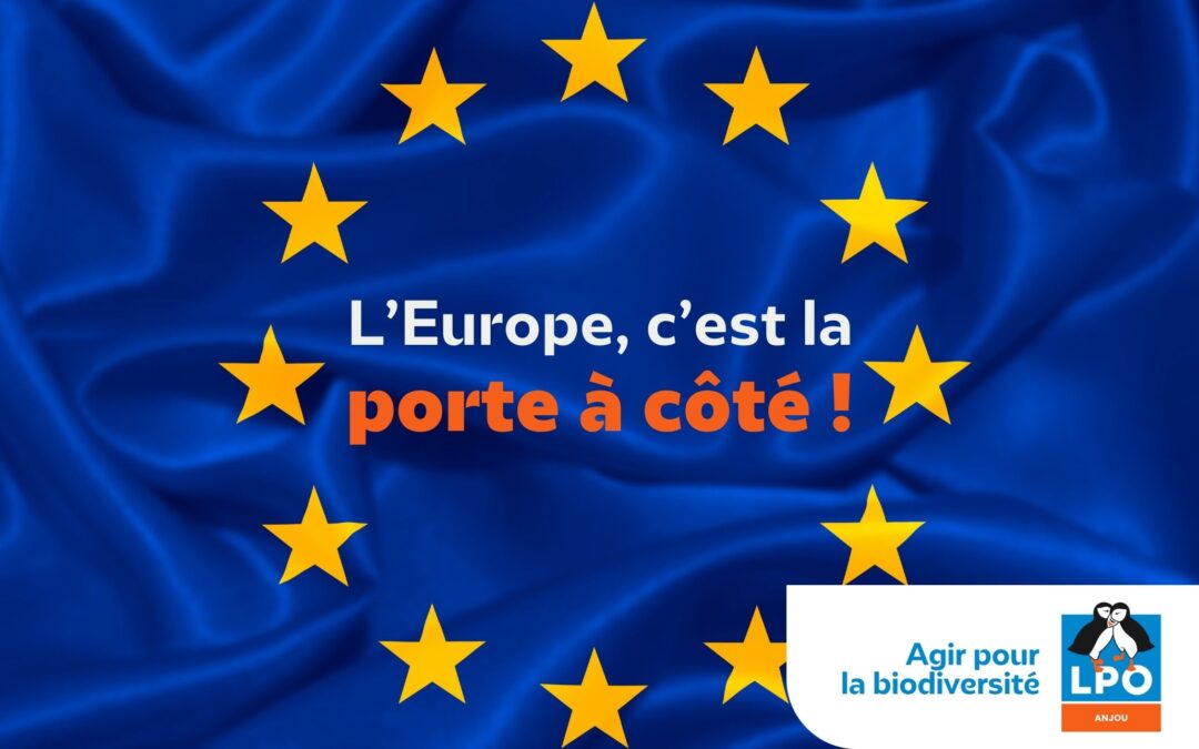 L’Europe, c’est la porte à côté !