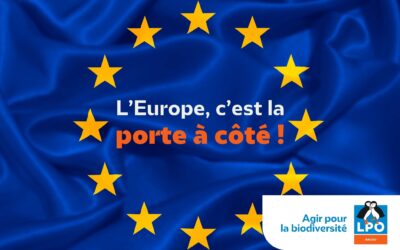 L’Europe, c’est la porte à côté !