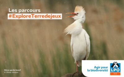 Cet été, parcourez l’Anjou avec #ExploreTerredejeux