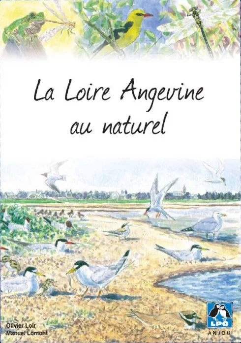 couv ox des loire angevine au naturel visuel-balade