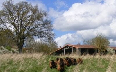 Rencontres des naturalistes et gestionnaires d’espaces naturels 2023