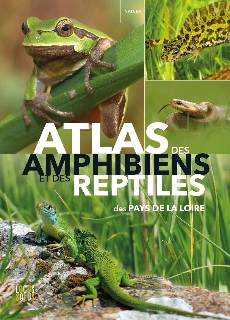 visuel-atlas_amphibiens visuel-atlas_mammiferes