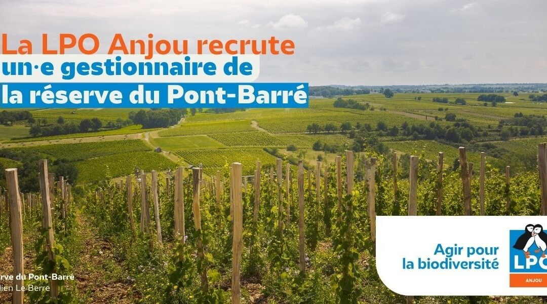 La LPO recrute un·e gestionnaire de la réserve du Pont-Barré