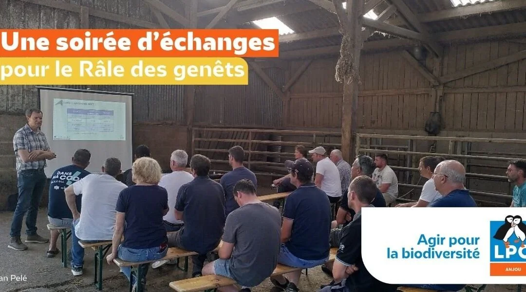 Une soirée d&rsquo;échanges pour le Râle des genêts