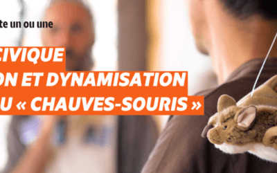 La LPO Anjou recrute une ou un service civique Animation et Dynamisation du réseau « chauves-souris » en Maine-et-Loire