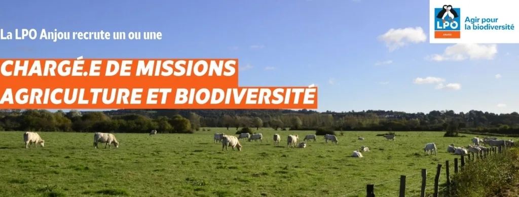 La LPO Anjou recrute une chargée ou un chargé de missions agriculture et biodiversité