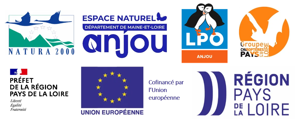 Bandeau N2000 Chiros