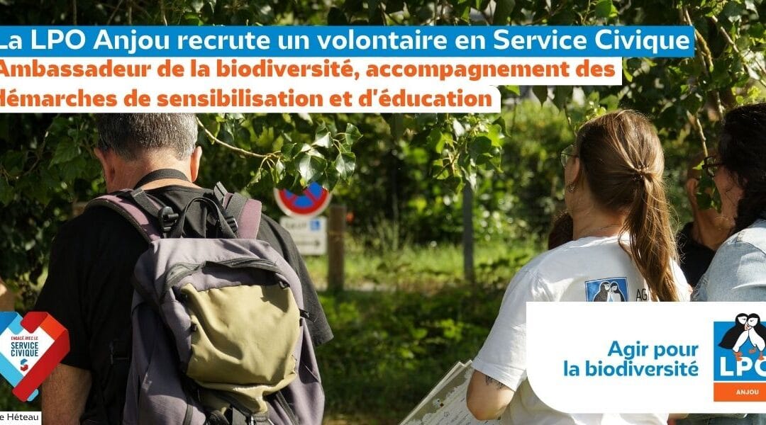 [ANNULÉ] La LPO Anjou recrute un·e volontaire en service civique : ambassadeur·ice de la biodiversité