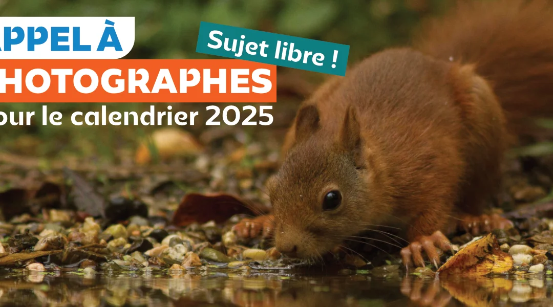Appel aux photographes : 15ᵉ édition du calendrier LPO Anjou