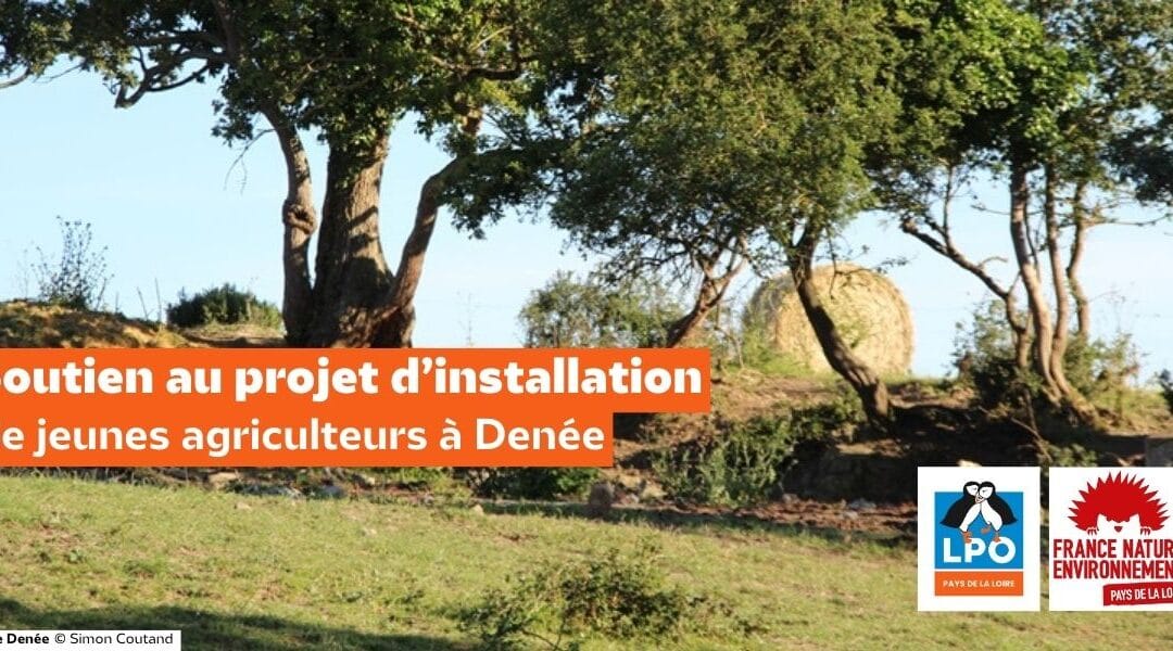 Soutien au projet d’installation de jeunes agriculteurs à Denée