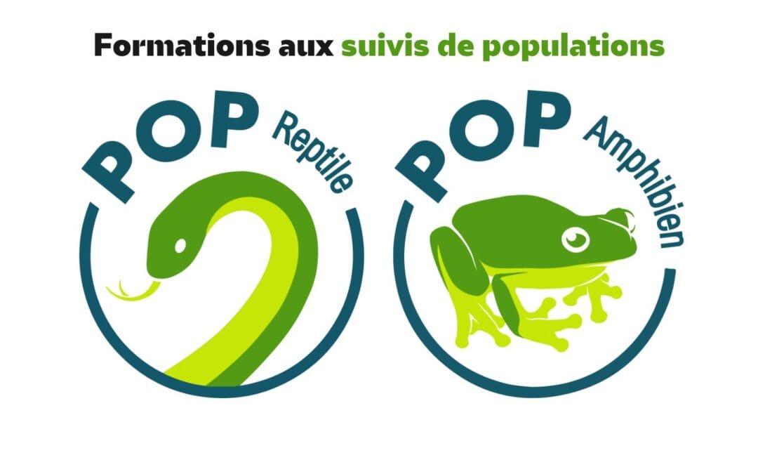 Formations aux suivis de populations