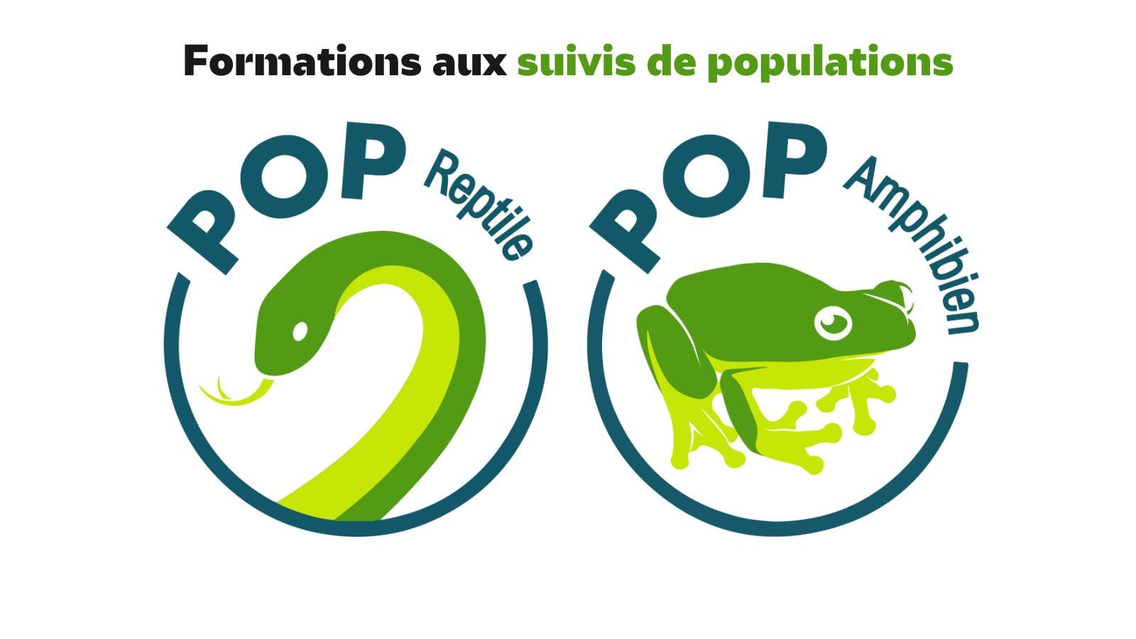 Photo d'illustration : logos des protocoles POP