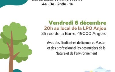 Une soirée d’orientation pour les élèves de collège et lycée