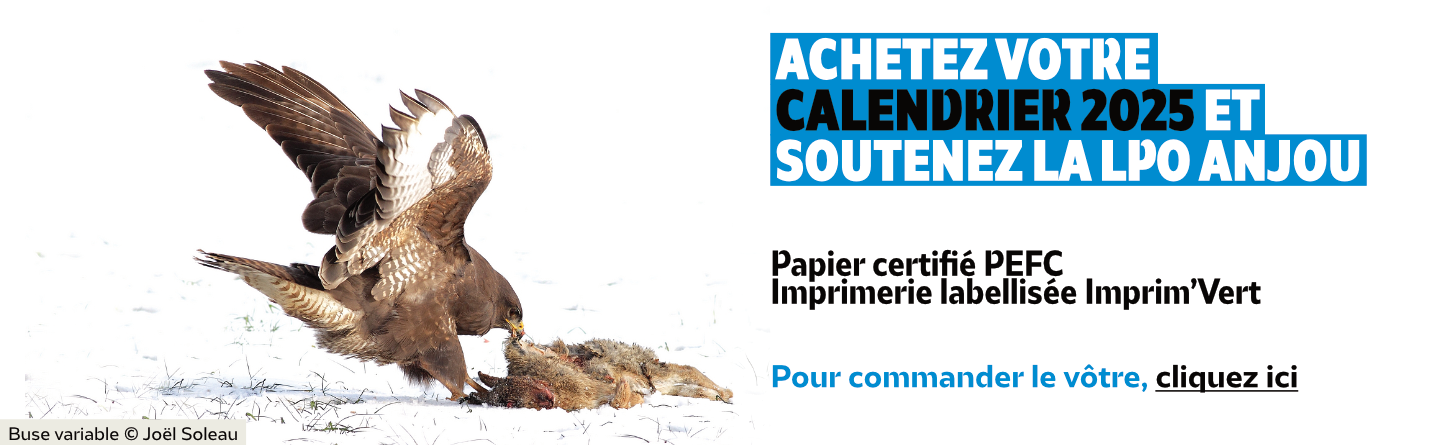 Le calendrier 2025 est disponible est en vente. Cliquez pour en savoir plus.