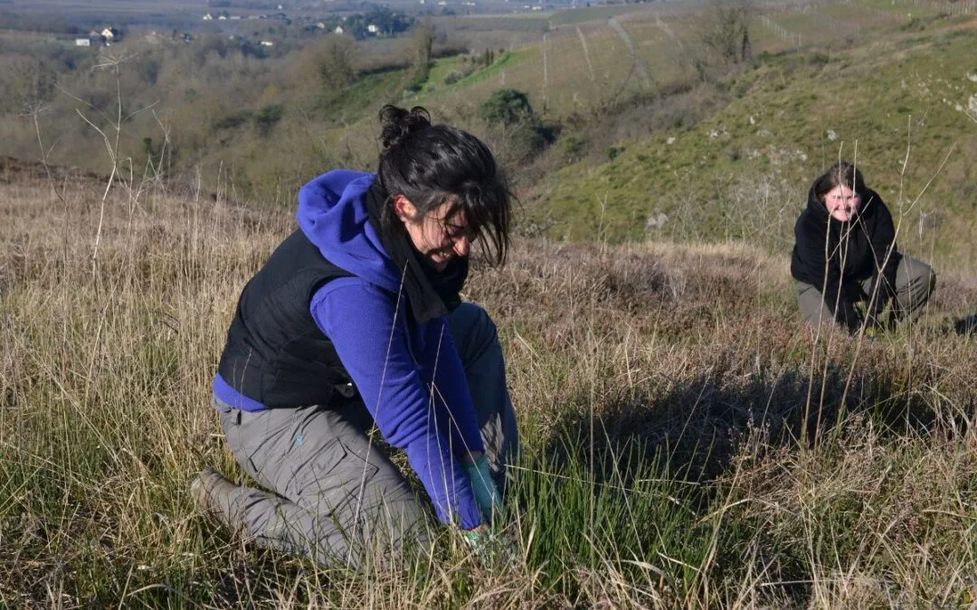 [POURVU] Offre de service civique : Ambassadeur de la biodiversité, accompagnement des démarches de conservation sur une RNR